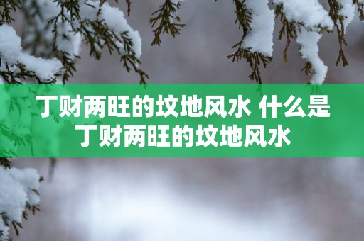 丁财两旺的坟地风水 什么是丁财两旺的坟地风水