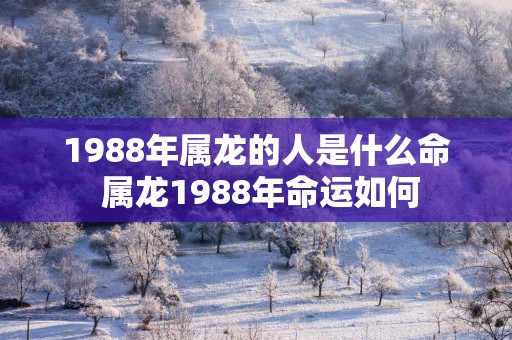 1988年属龙的人是什么命 属龙1988年命运如何