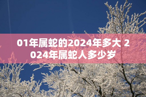01年属蛇的2025年多大 2025年属蛇人多少岁