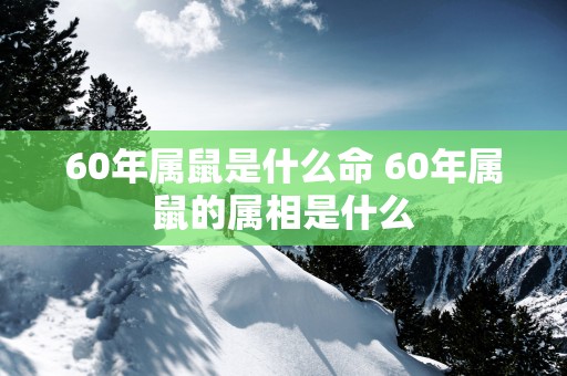 60年属鼠是什么命 60年属鼠的属相是什么