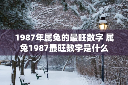 1987年属兔的最旺数字 属兔1987最旺数字是什么