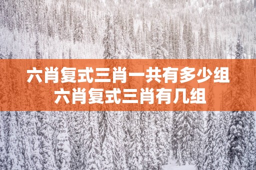 六肖复式三肖一共有多少组 六肖复式三肖有几组