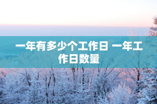 一年有多少个工作日 一年工作日数量
