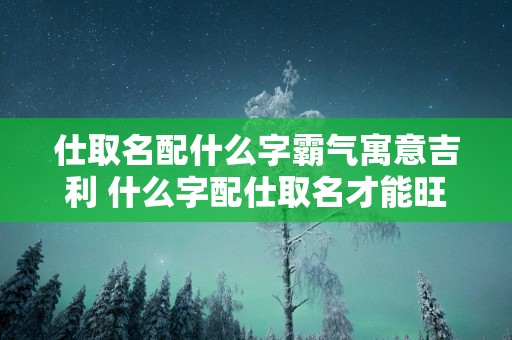 仕取名配什么字霸气寓意吉利 什么字配仕取名才能旺财旺运