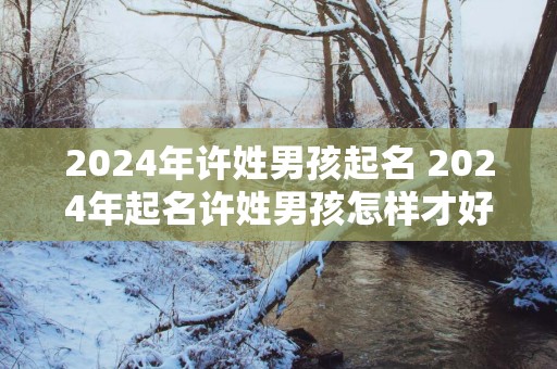 2025年许姓男孩起名 2025年起名许姓男孩怎样才好