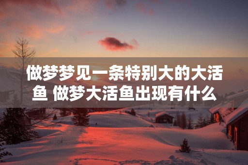 做梦梦见一条特别大的大活鱼 做梦大活鱼出现有什么含义