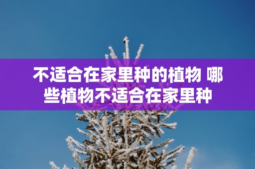 不适合在家里种的植物 哪些植物不适合在家里种