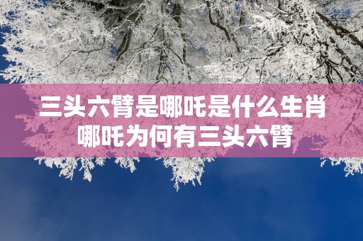 三头六臂是哪吒是什么生肖 哪吒为何有三头六臂
