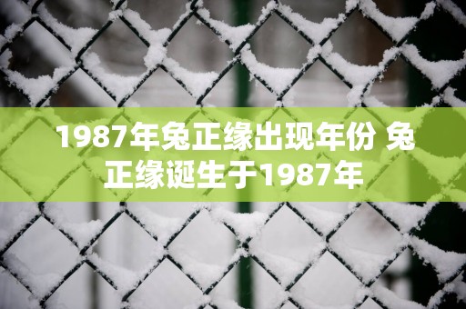 1987年兔正缘出现年份 兔正缘诞生于1987年