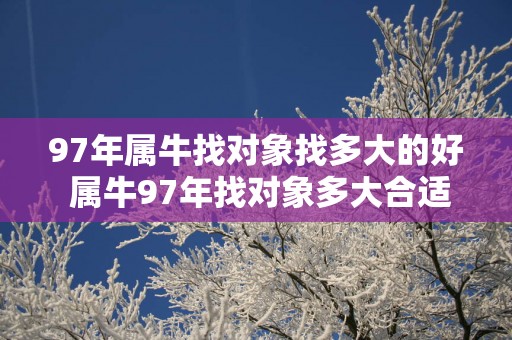 97年属牛找对象找多大的好 属牛97年找对象多大合适