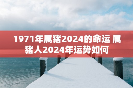 1971年属猪2025的命运 属猪人2025年运势如何