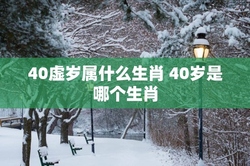 40虚岁属什么生肖 40岁是哪个生肖