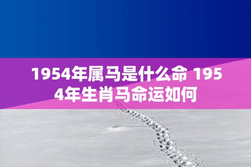 1954年属马是什么命 1954年生肖马命运如何
