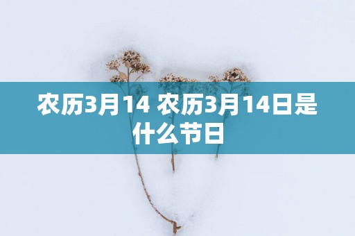 农历3月14 农历3月14日是什么节日