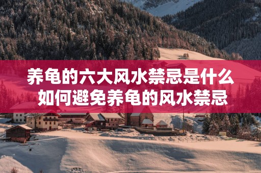 养龟的六大风水禁忌是什么 如何避免养龟的风水禁忌