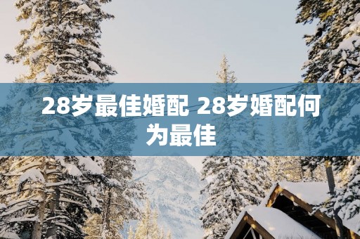 28岁最佳婚配 28岁婚配何为最佳