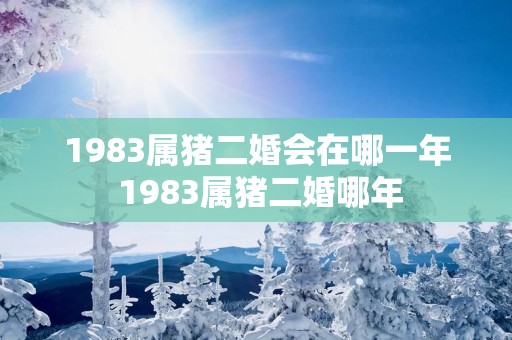 1983属猪二婚会在哪一年 1983属猪二婚哪年