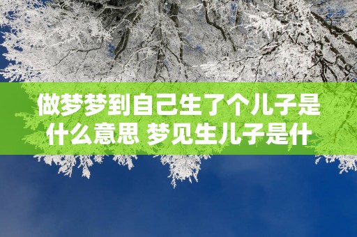 做梦梦到自己生了个儿子是什么意思 梦见生儿子是什么含义