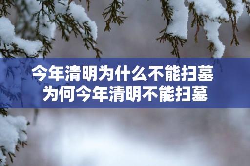 今年清明为什么不能扫墓 为何今年清明不能扫墓