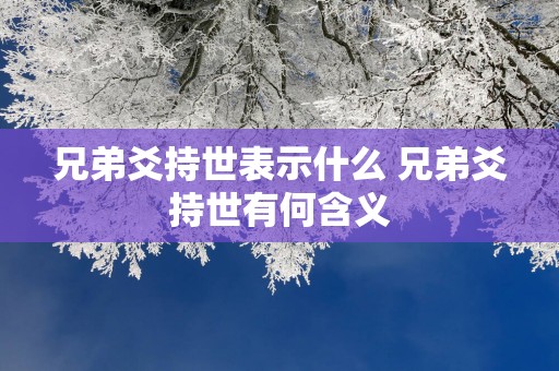 兄弟爻持世表示什么 兄弟爻持世有何含义