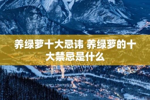 养绿萝十大忌讳 养绿萝的十大禁忌是什么