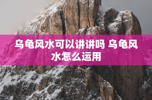 乌龟风水可以讲讲吗 乌龟风水怎么运用 乌龟风水可以讲讲吗 乌龟风水怎么运用