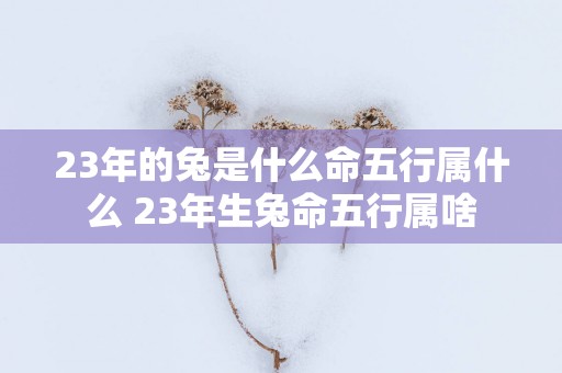 23年的兔是什么命五行属什么 23年生兔命五行属啥