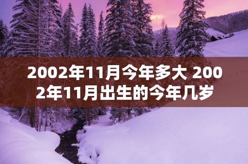 2002年11月今年多大 2002年11月出生的今年几岁