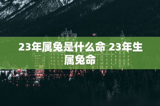 23年属兔是什么命 23年生属兔命