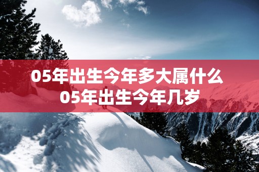 05年出生今年多大属什么 05年出生今年几岁