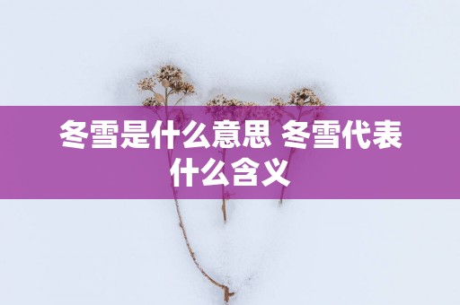 冬雪是什么意思 冬雪代表什么含义