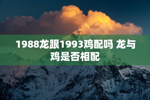 1988龙跟1993鸡配吗 龙与鸡是否相配