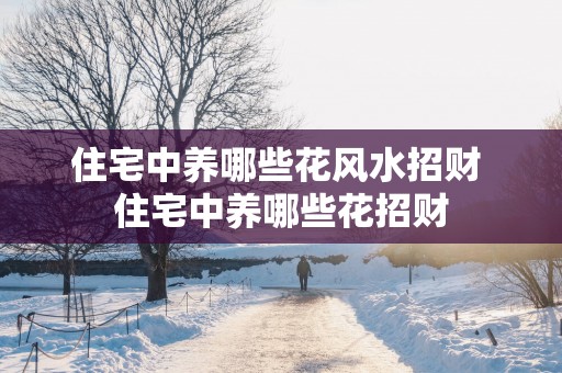住宅中养哪些花风水招财 住宅中养哪些花招财