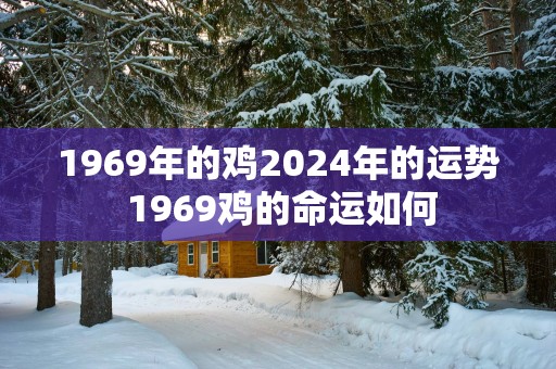 1969年的鸡2025年的运势 1969鸡的命运如何