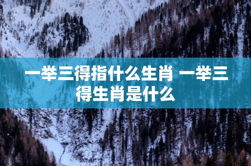 一举三得指什么生肖 一举三得生肖是什么