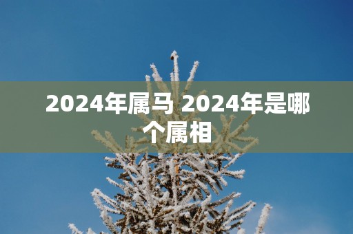 2025年属马 2025年是哪个属相