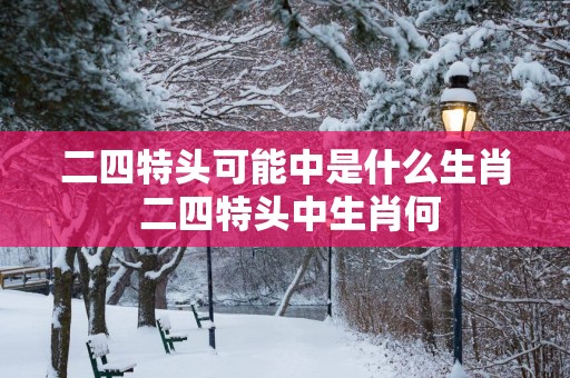 二四特头可能中是什么生肖 二四特头中生肖何