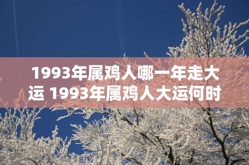 1993年属鸡人哪一年走大运 1993年属鸡人大运何时到来