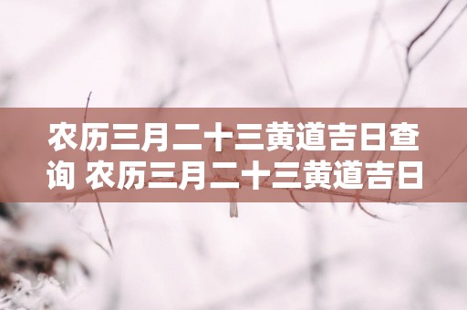 农历三月二十三黄道吉日查询 农历三月二十三黄道吉日是哪天
