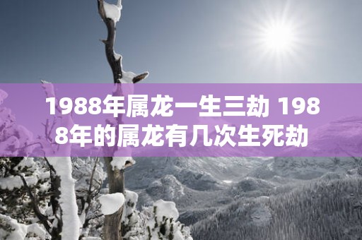 1988年属龙一生三劫 1988年的属龙有几次生死劫