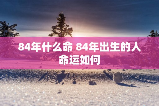 84年什么命 84年出生的人命运如何