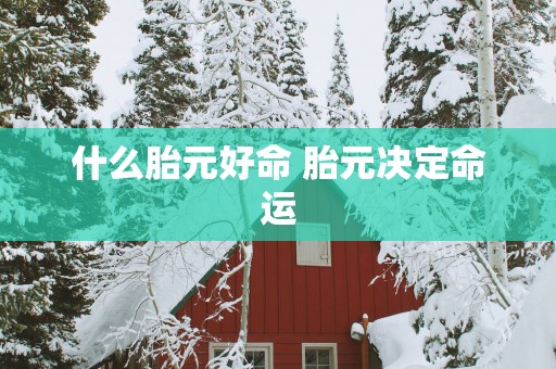 什么胎元好命 胎元决定命运
