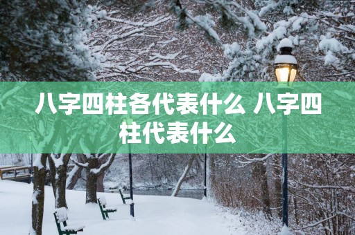 八字四柱各代表什么 八字四柱代表什么