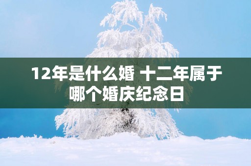 12年是什么婚 十二年属于哪个婚庆纪念日