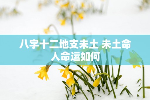 八字十二地支未土 未土命人命运如何