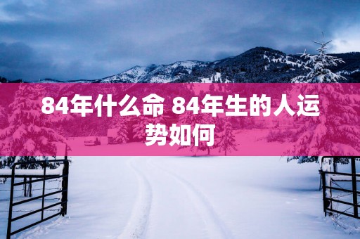 84年什么命 84年生的人运势如何