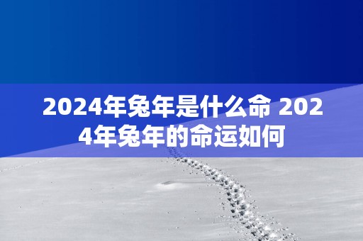 2025年蛇年是什么命 2025年蛇年的命运如何