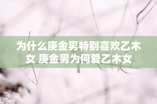 为什么庚金男特别喜欢乙木女 庚金男为何爱乙木女