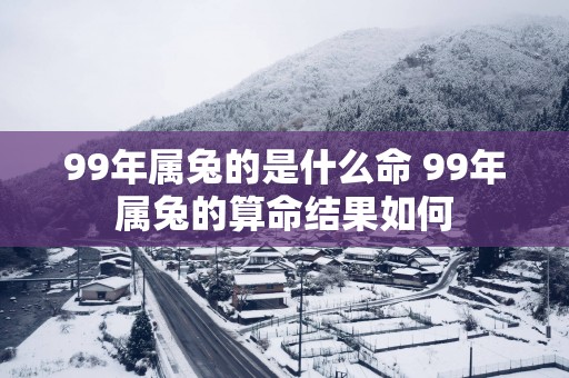 99年属兔的是什么命 99年属兔的算命结果如何