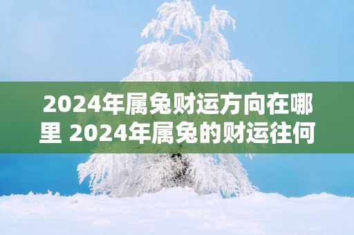 2025年属兔财运方向在哪里 2025年属兔的财运往何处